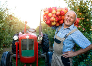 Ūkininkas su obuoliais