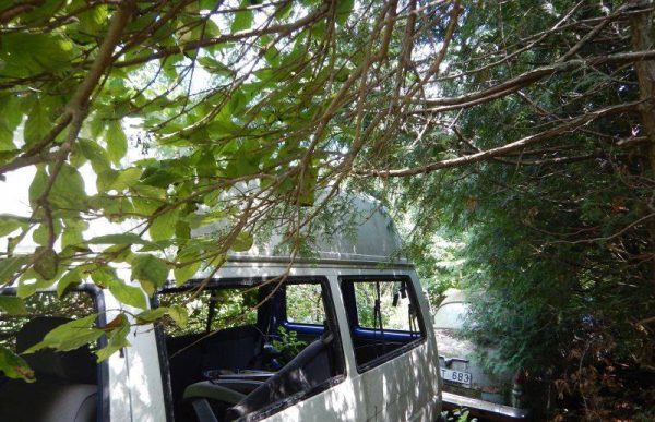 Marijampolės mieste siekiama mažinti neeksploatuojamų automobilių