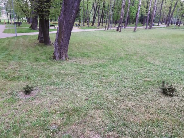 Tvarkymo darbai Liudvinave