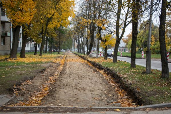 Draugystės gatvės pėsčiųjų takas