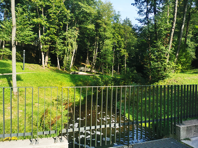 miškas