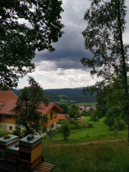 Vaizdas į Bavarijos Alpes pro Ingos prižiūrimo namo langą