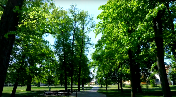 Marijampolė parkas