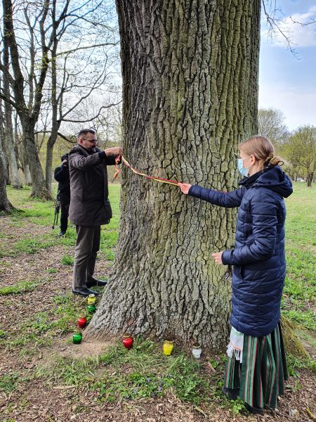 Sukilėlių ąžuolas kvietiškio parkas