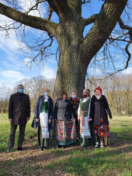 Sukilėlių ąžuolas kvietiškio parkas