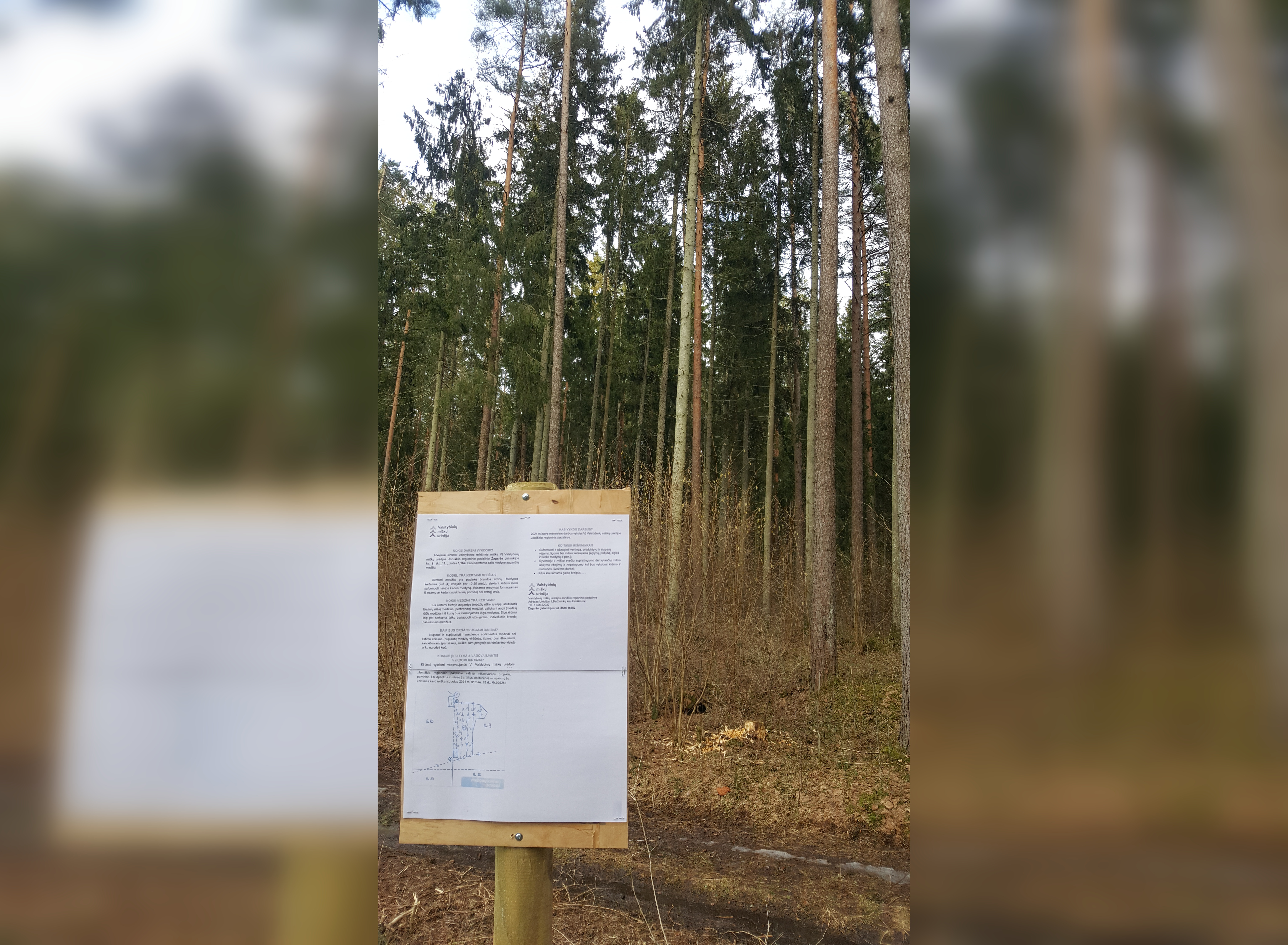 Apie miškuose vykdomus darbus – informaciniai stendai visuomenei