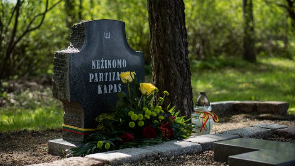 Partizanų pagerbimo, kariuomenės ir visuomenės vienybės diena Marijampolė
