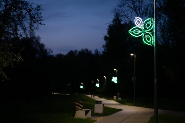 pašešupio parkas