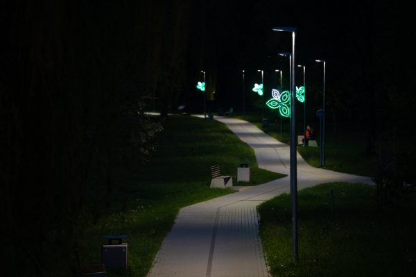pašešupio parkas