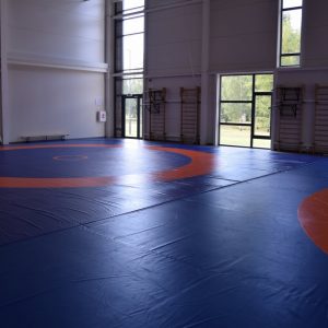Vilkaviškio sporto arena