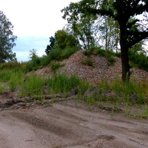 Skalda netrukus bus paskleista sklypo teritorijoje