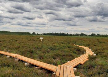 Amalvos gamtinis-pažintinis takas