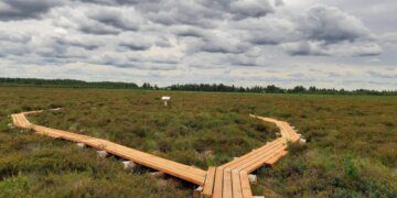 Amalvos gamtinis-pažintinis takas