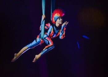 Šakių cirko mokykla