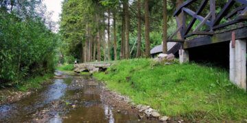 Vaiguvos upė-gatvė