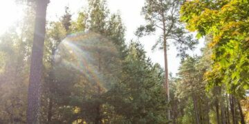 Kazlų Rūdos parkas