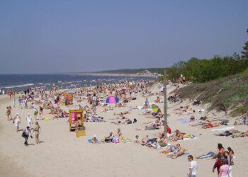 Kaip išvengti kamščių vykstant prie jūros: kada geriausiai išvažiuoti iš namų?