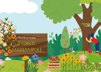 Konkursas Žydinti Marijampolė