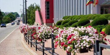 Marijampolė vasarą pasitinka žydinti nuostabiais žiedais!