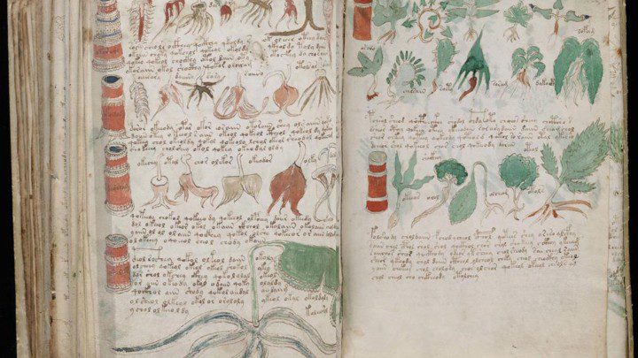 Paslaptingasis Voynich rankraštis: holistinis požiūris ir įkvėpimo šaltinis kūrybai