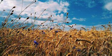 Kraštiečių susitikimui Tarprubežiuose