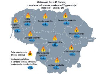 Gaisrų statistika šalyje