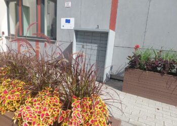 Petro Kriaučiūno bibliotekoje - knygų taromatas