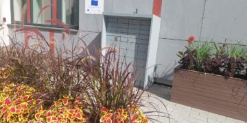 Petro Kriaučiūno bibliotekoje - knygų taromatas