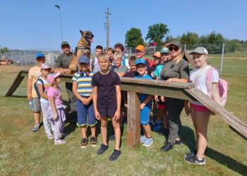 Tarptautinė vaikų vasaros stovykla