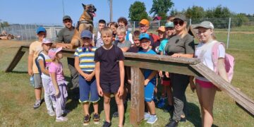 Tarptautinė vaikų vasaros stovykla