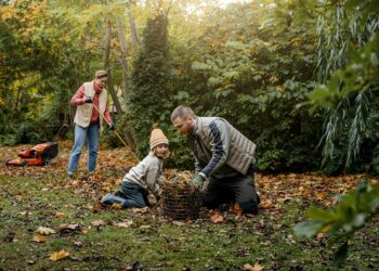 Ekspertas: veja žiemą turėtų pasitikti tinkamai nupjauta ir patręšta