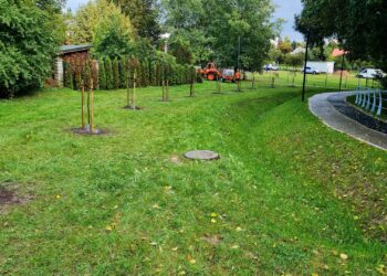 Medelių sodinimas prie Šeimenos upės