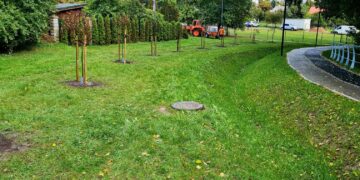 Medelių sodinimas prie Šeimenos upės