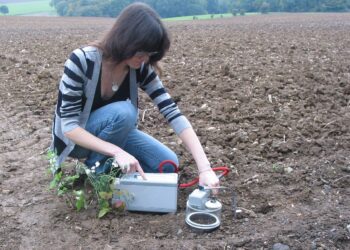 Anglies ūkininkavimas