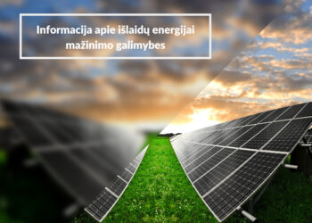 Išlaidų energijai mažinimo galimybės