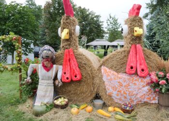 Seniūnijų kiemeliai