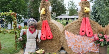 Seniūnijų kiemeliai