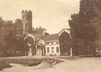 Paežerių dvaro tarnų namai ir Belvederio bokštas 1916 m.
