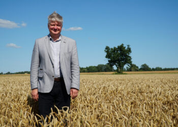 Lietuviškiems kviečiams atverta Meksikos rinka