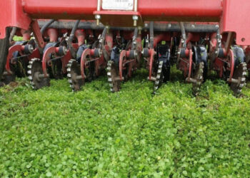 Ūkininkai kviečiami į bearimių technologijų lauko dieną