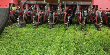 Ūkininkai kviečiami į bearimių technologijų lauko dieną