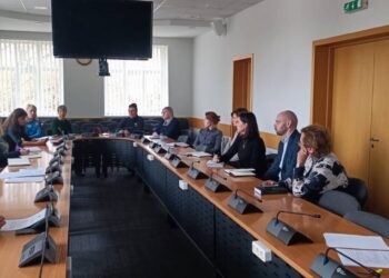 Vyko profesinio orientavimo ir institucijų specialistų pasitarimas