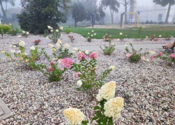 Sangrūdos kaime įgyvendintas projektas