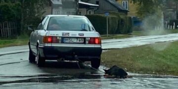 Šokiruojantis elgesys su šunimi Šakiuose