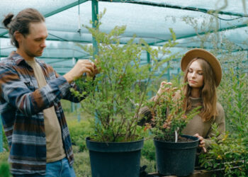 Strateginiame plane – daugiau dėmesio smulkiesiems ir jauniesiems ūkininkams