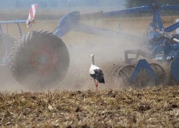 Paramai gauti privaloma laikytis valdymo reikalavimų