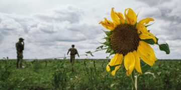 Karas Ukrainoje | foto iš Volodymyro Zelenskio FB profilio