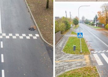 Atnaujinta P. Armino gatvė