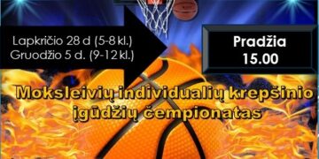 Moksleivių individualių krepšinio įgūdžių čempionatas. II etapas