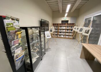 Projektas Kalvarijoje